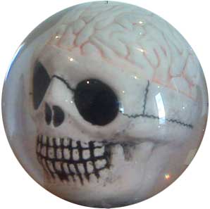 cranium