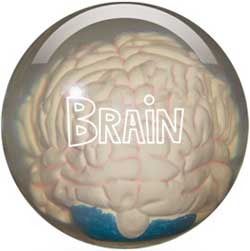 Storm Brain Storm