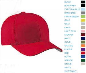 FlexFit Hat (#6277)