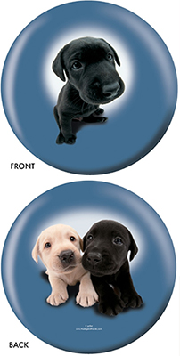 OnTheBall Labrador Retriever